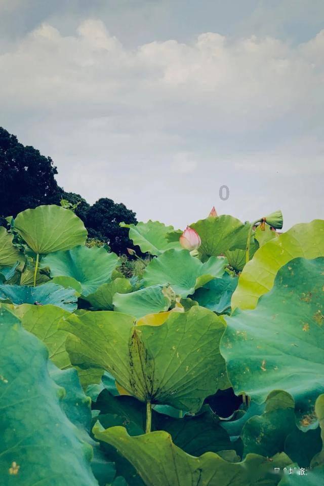 寻梦环游记找吉他