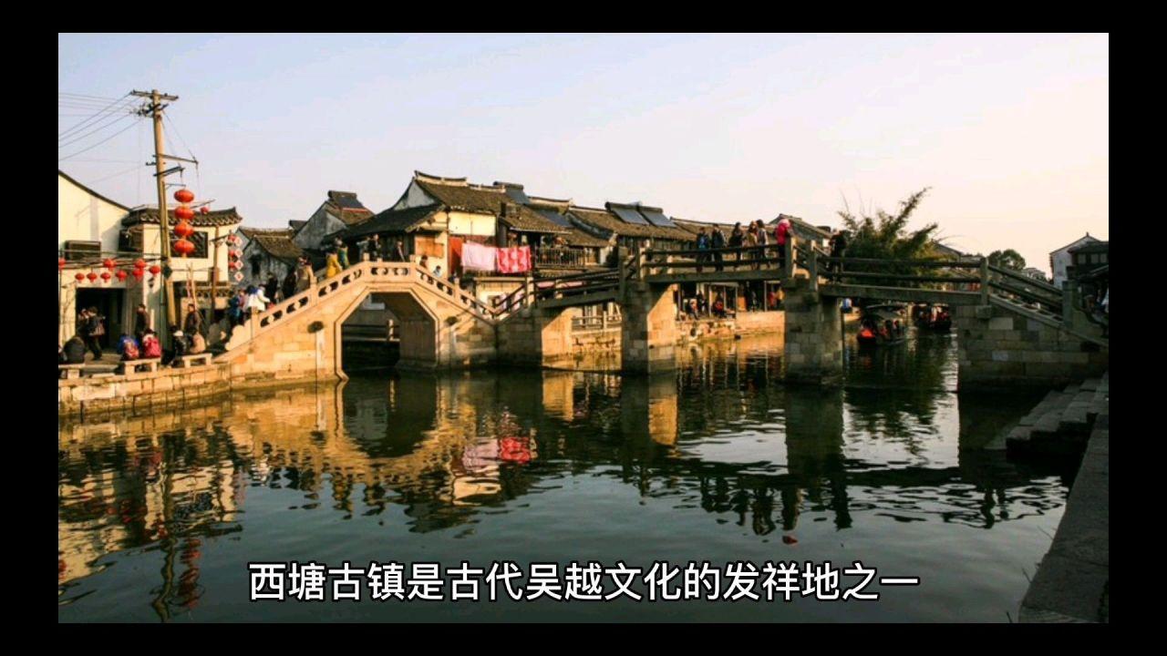 寻找萌小老虎
